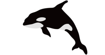 TEAM SHACHI が名古屋銀行とタイアップ